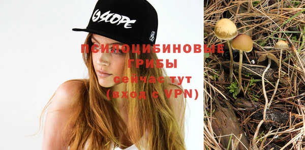 соль курить ск Алексин