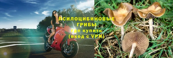 spice Алексеевка
