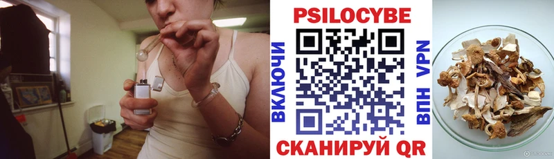 Псилоцибиновые грибы прущие грибы  Байкальск 